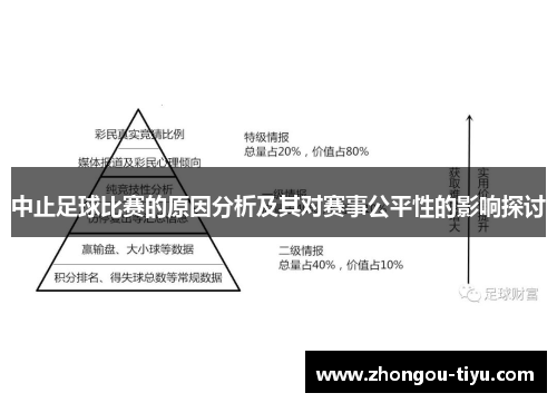 中止足球比赛的原因分析及其对赛事公平性的影响探讨